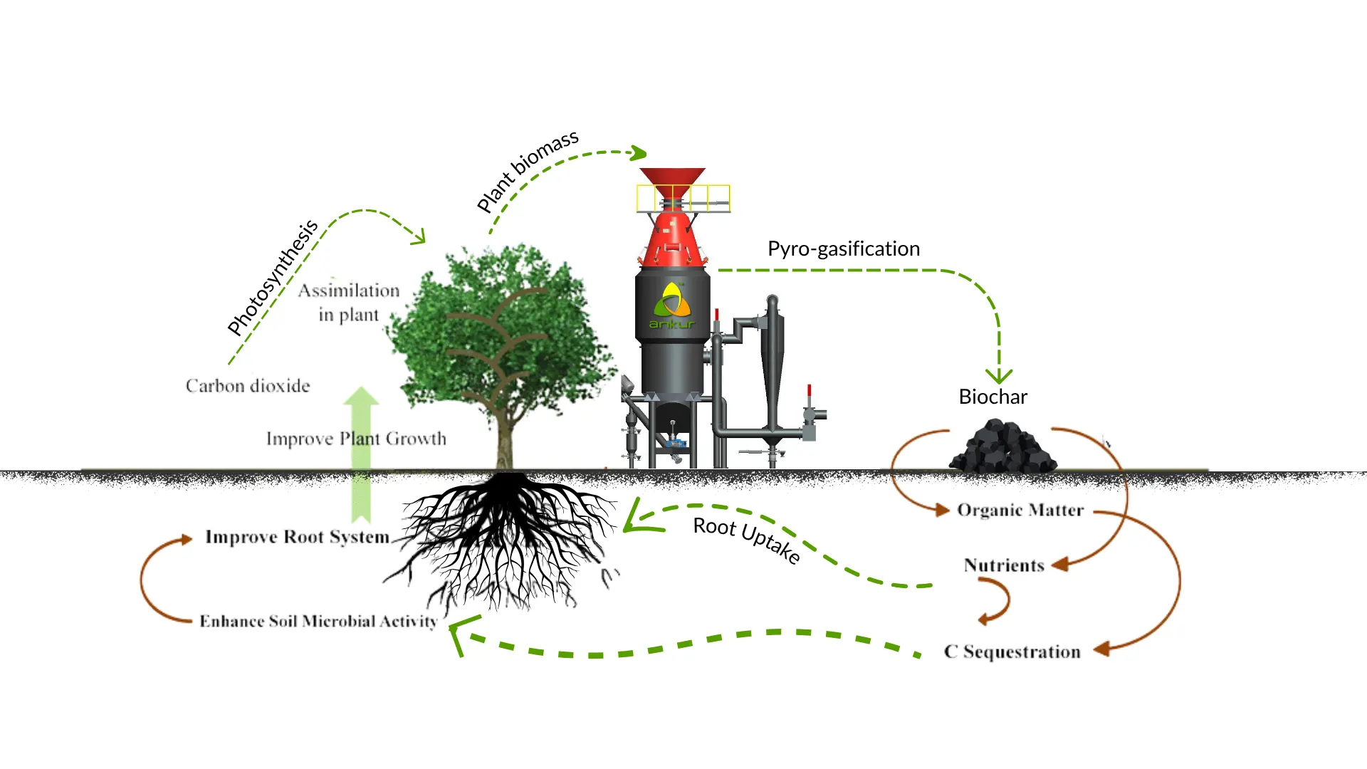 Biochar Image