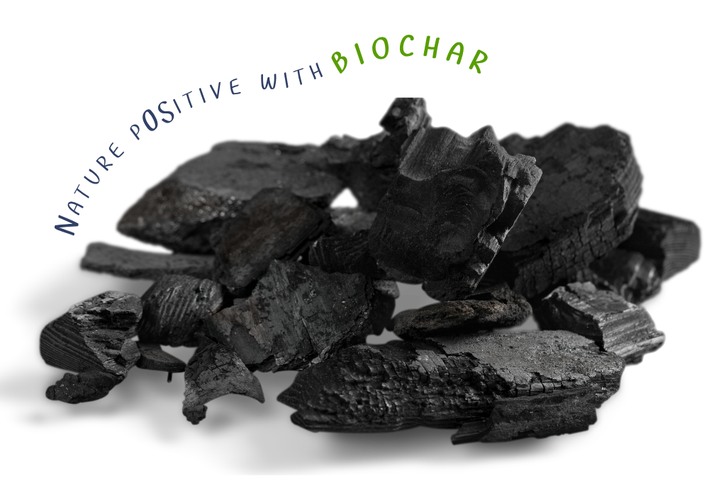 Biochar Image